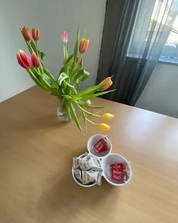 Living & Apartment