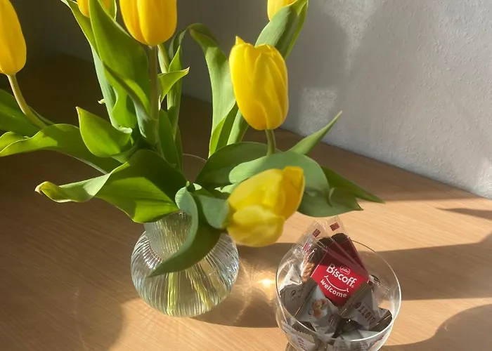 Апартаменты Living &