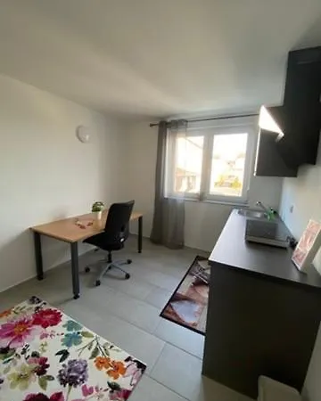 Living & * 美因河畔法兰克福